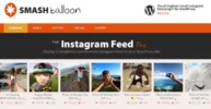 Instagram Feed Pro nulled plugin