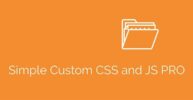 Simple Custom CSS and JS PRO nulled plugin